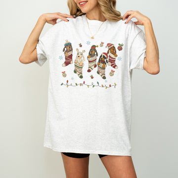 Dachshund Christmas T-Shirt Cute Christmas Dog Shirt for Dachshund Moms and Dog Lovers Perfect Xmas Gift