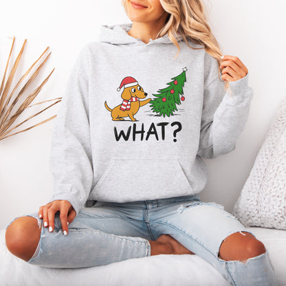 Funny What? Dachshund Christmas Hoodie