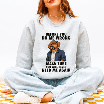 Funny Sausage Dog Sweatshirt Attitude Sausage Dog Humor Gift