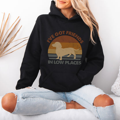 Funny Dachshund Hoodie – Retro Dog Lover Gift with Vintage Style