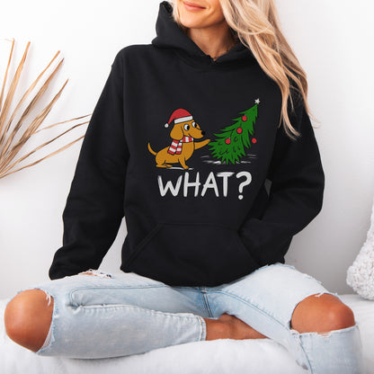 Funny What? Dachshund Christmas Hoodie