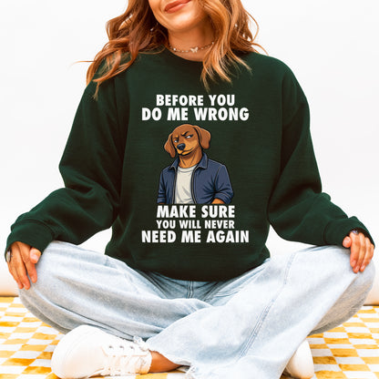 Funny Sausage Dog Sweatshirt Attitude Sausage Dog Humor Gift