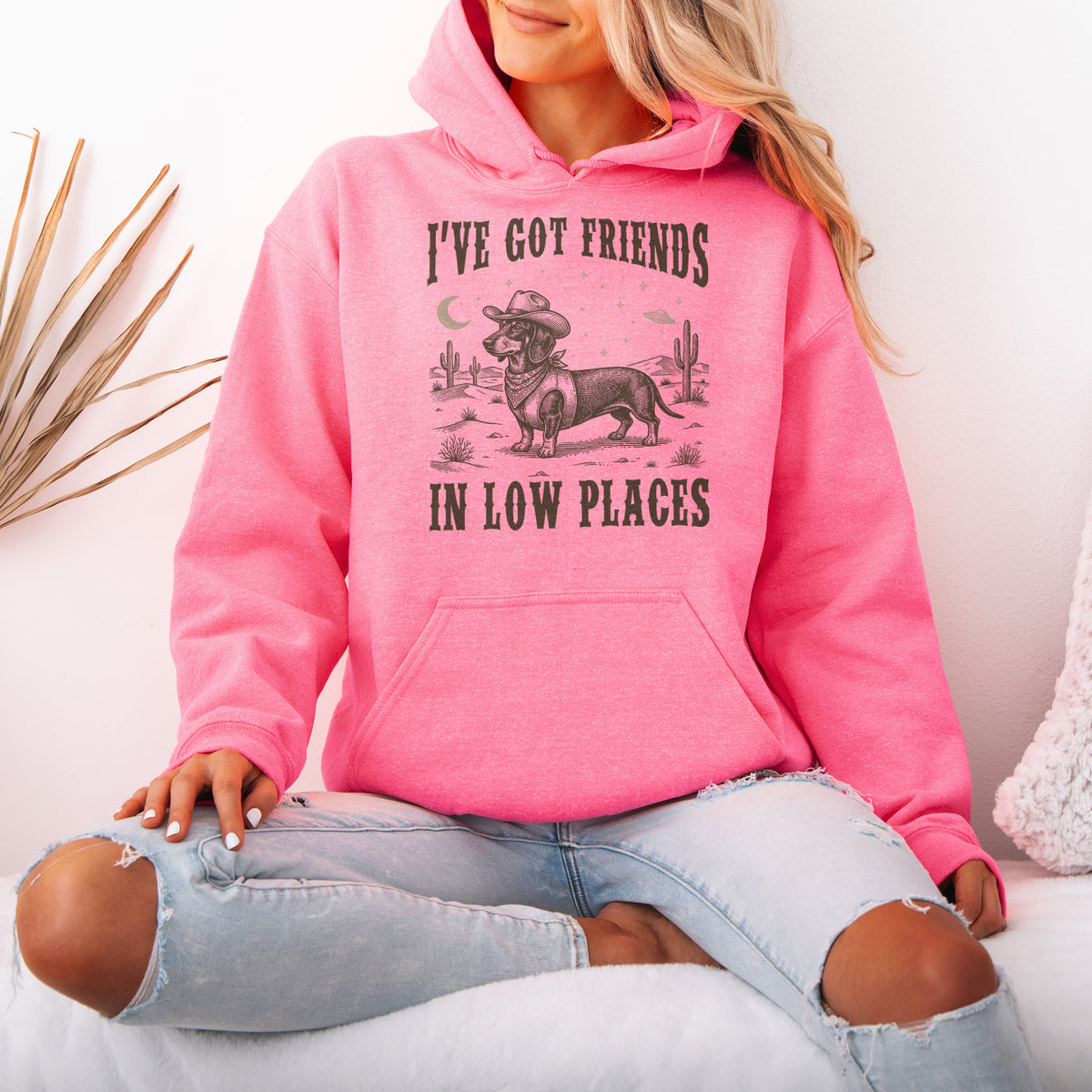 I've Got Friends In Low Places Dachshund Hoodie