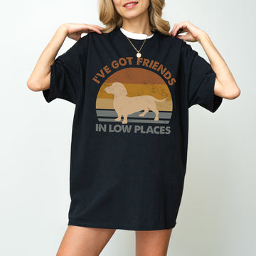 Funny Dachshund Shirt I've Got Friends in Low Places Retro Design