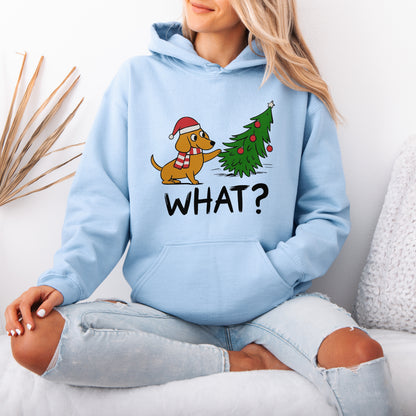 Funny What? Dachshund Christmas Hoodie