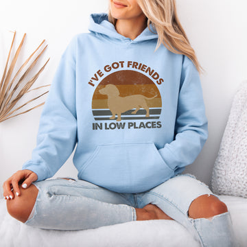 Funny Dachshund Hoodie – Retro Dog Lover Gift with Vintage Style