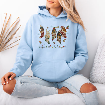Dachshund Christmas Hoodie – Cute Doxie Mom Holiday Gift
