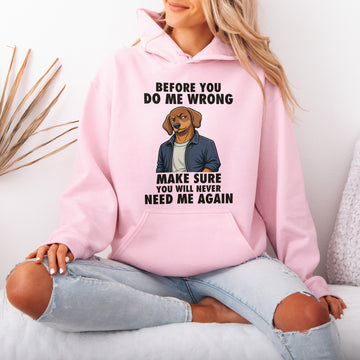 Funny Sausage Dog Hoodie Attitude Gift for Dog Lovers