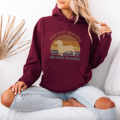 Funny Dachshund Hoodie – Retro Dog Lover Gift with Vintage Style