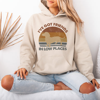 Funny Dachshund Hoodie – Retro Dog Lover Gift with Vintage Style