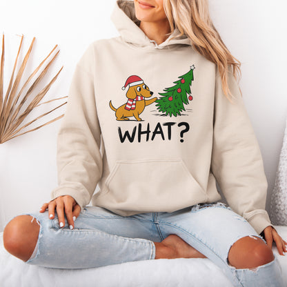 Funny What? Dachshund Christmas Hoodie