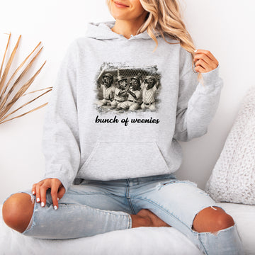 Funny Dachshund Baseball Hoodie Bunch of Weenies Dog Mom