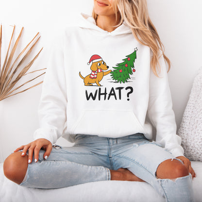 Funny What? Dachshund Christmas Hoodie
